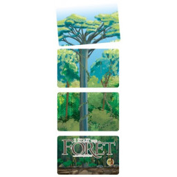 exemple de reconstitution d'un arbre du jeu Il était une foret