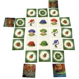 mise en place du jeu Le Bois des Couadsous