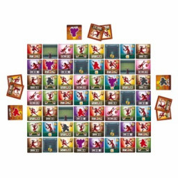 Cartes de jeu Ninja Camp