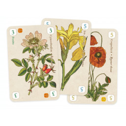 Exemple de cartes du jeu Officinalis