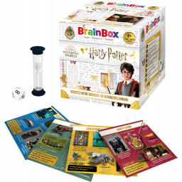 Exemple de cartes du jeu BrainBox Harry Potter