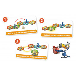 Exemple des cartes du jeu Toucan Do it