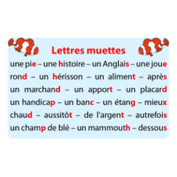 Carte lettre du jeu Ortho Cat's 3 Les mots