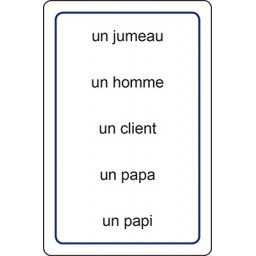 Carte mots du jeu Grammi Cat's 4 masculin et féminin