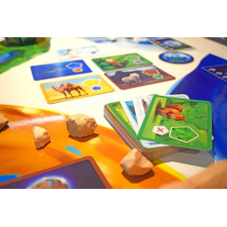 Vue des cartes du jeu Planet