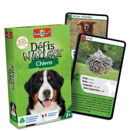 exemple de cartes du jeu Défi nature Chiens