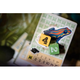 Dés et cartes du jeu Trek 12 Amazonie