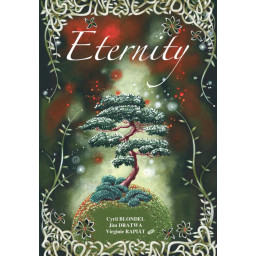 boite du jeu Eternity