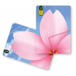 Exemple de partie en cours du jeu Lotus