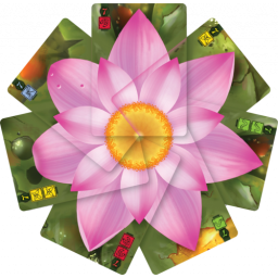 Exemple de fleur terminée dans le jeu Lotus
