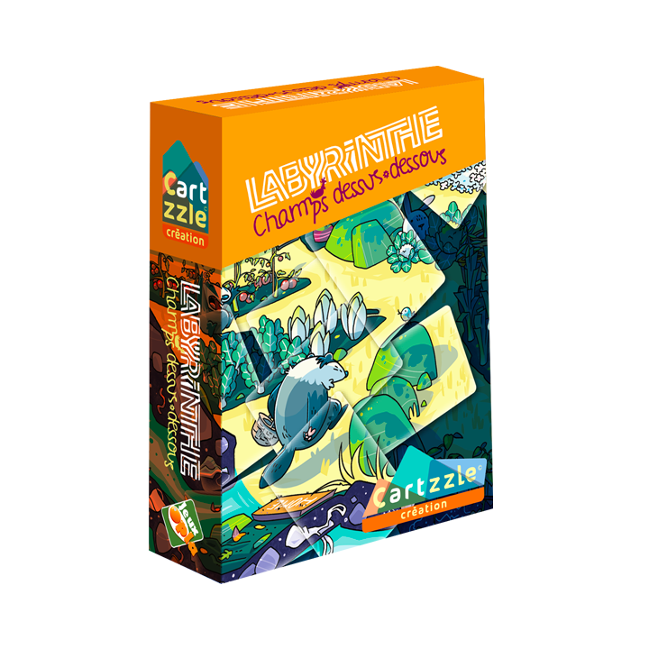 Boite du jeu Cartzzle Labyrinthe Champs dessus Dessous