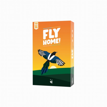 Boite du jeu Fly Home