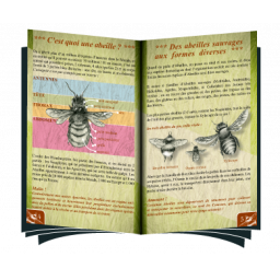 Exemple de page d'explications compris dans le jeu Pollen