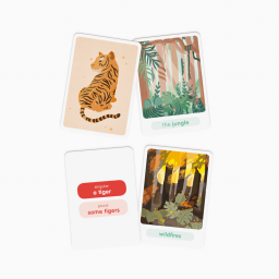 Exemple d cartes recto verso du jeu Flash Animals
