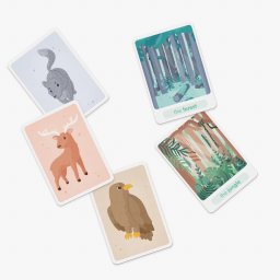 exemple de cartes du jeu Flash Animals