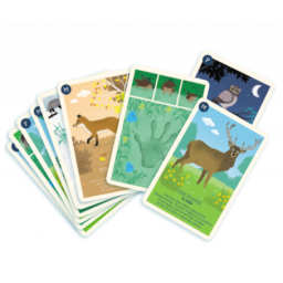exemple de cartes du jeu des 9 familles La Forêt