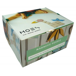 Boite du jeu Puzzle Magnétique Moes