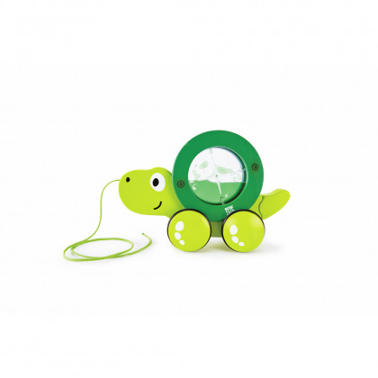 Tito Tortue à promener Hape