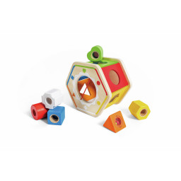Matériel Trieur de Formes en Bois Hape