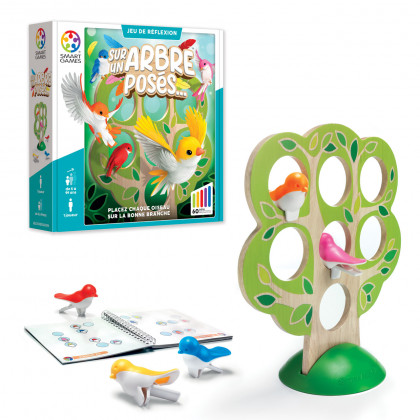 Boite Sur Un Arbre Posé SmartGames