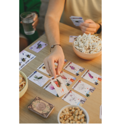 Partie de jeu en cours de Budizz Partie de jeu en cours de Budizz