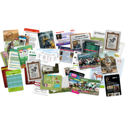 Matériel du jeu Dossiers Criminels Pocket Lord Ravary II