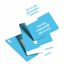 Exemple de cartes du jeu Speed Bac Kids