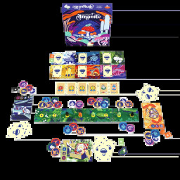 Matériel du jeu Amanite