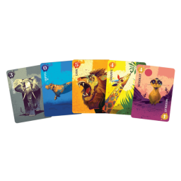 Exemple de cartes du jeu Botswana