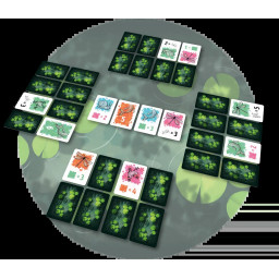 Partie de jeu en cours de Symbiose