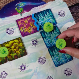 Zoom sur les pieces et le plateau de jeu de Tulikko