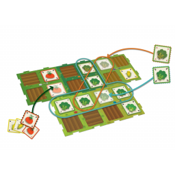 Matériel et mise en place du jeu Plante Bataille de Iello