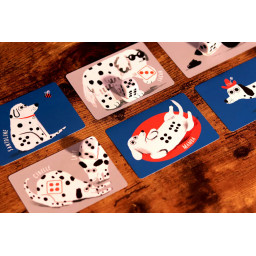 Exemple de cartes et de dés du jeu Spot ou Encore de Iello