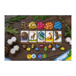 Matériel du jeu pour enfants Cascadia Junior