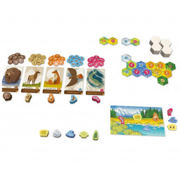 Exemple de début de partie du jeu pour enfants Cascadia Junior