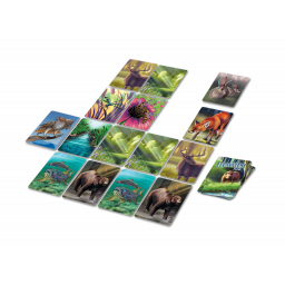 Partie de jeu en cours de Ecosystème Forêt