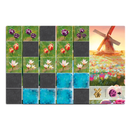 Matériel du jeu Frosted Blooms de Synapse Games