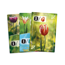 Zoom sur les cartes du jeu Frosted Blooms