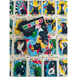 Boite et cartes du jeu WAPIGO