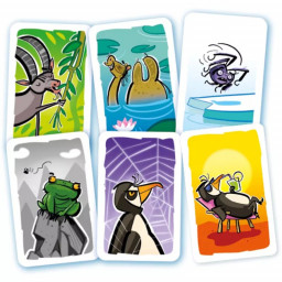 Exemple de cartes du  jeu d'ambiance Gigamic
